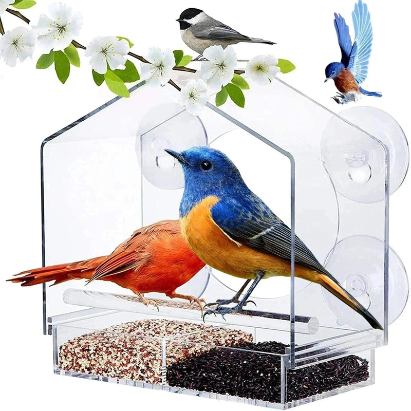 Comedero para Aves Premium